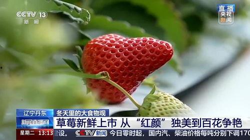 国产视频草莓,甜蜜滋味，映照时代光影